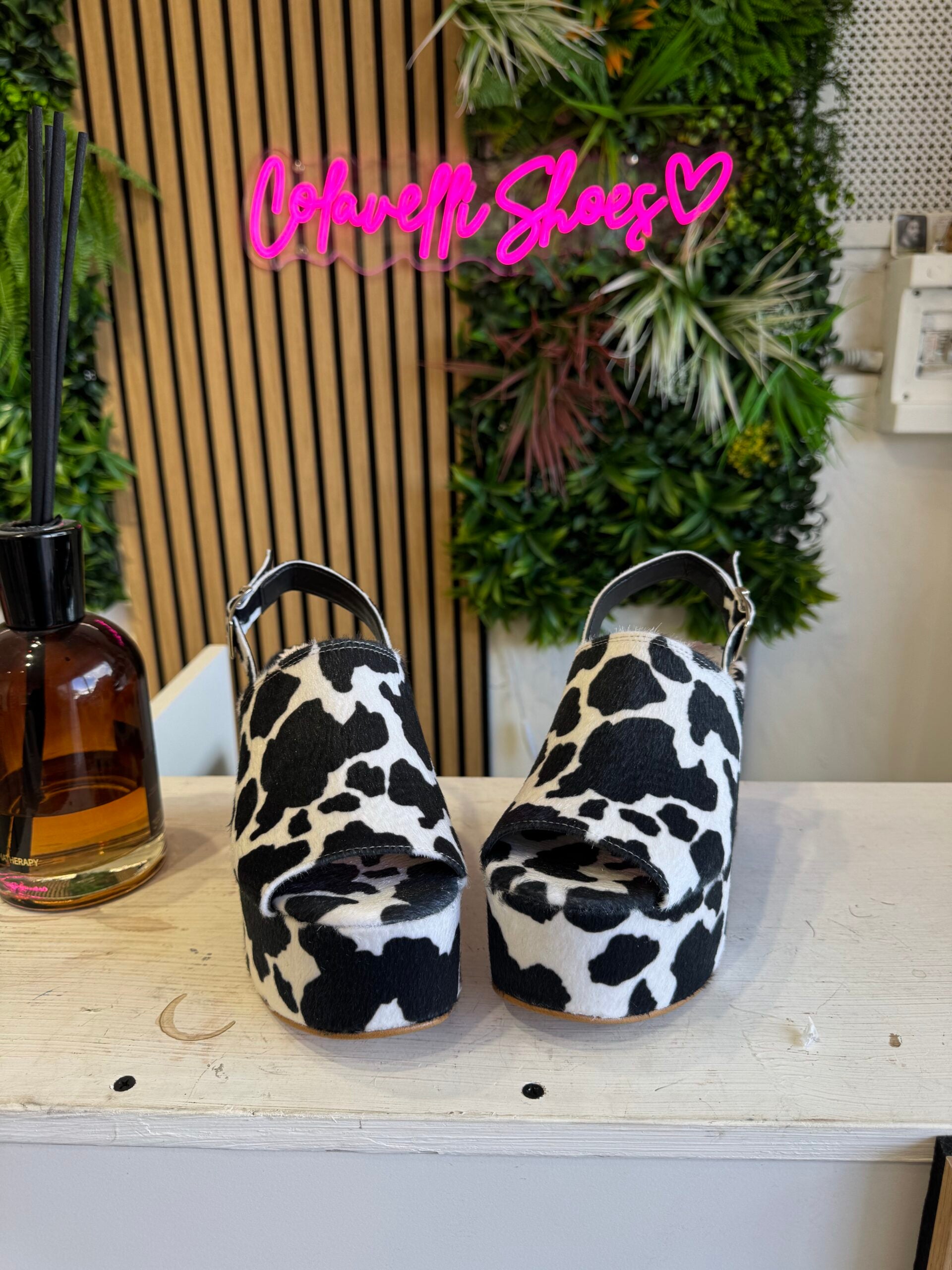 Marrakesh mucca bianco nero