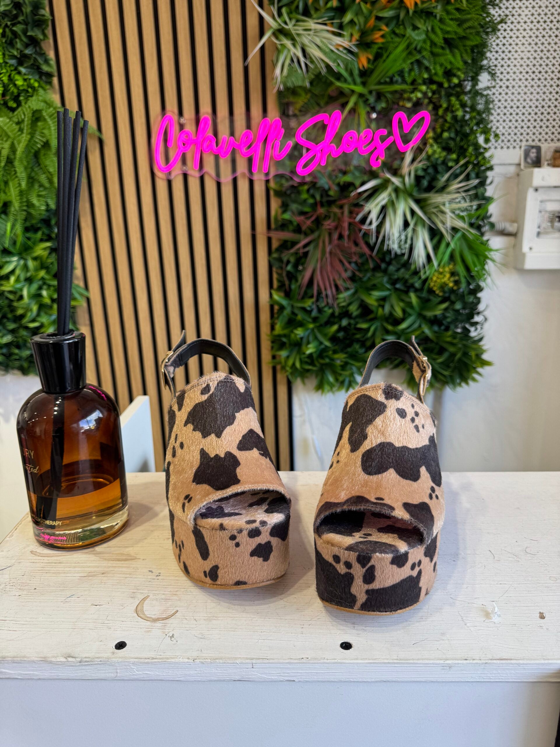 Vaca beige de Marrakech