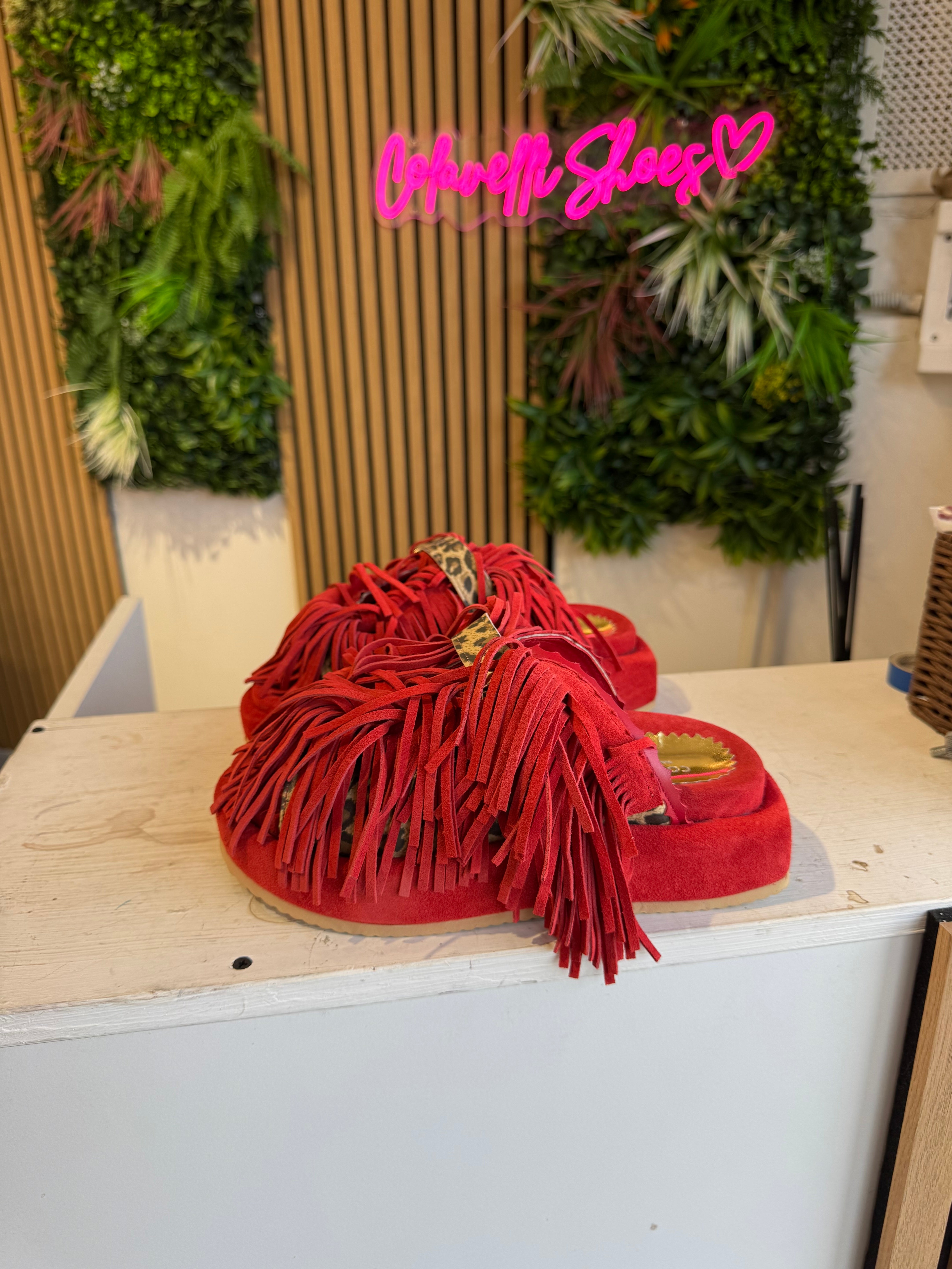 Sinfonia red suede spotted rip
