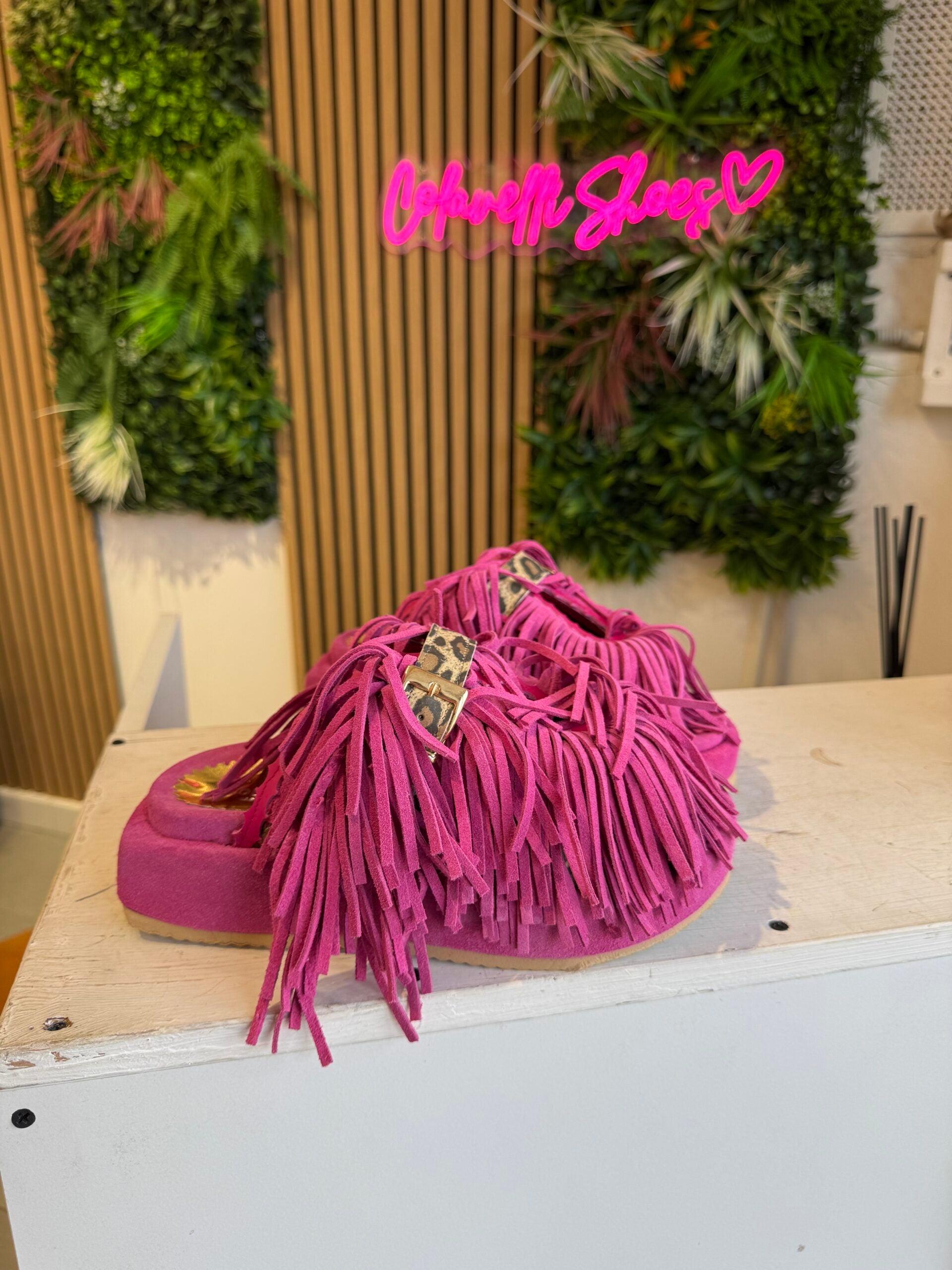 Sinfonia cam fucsia rip spotted