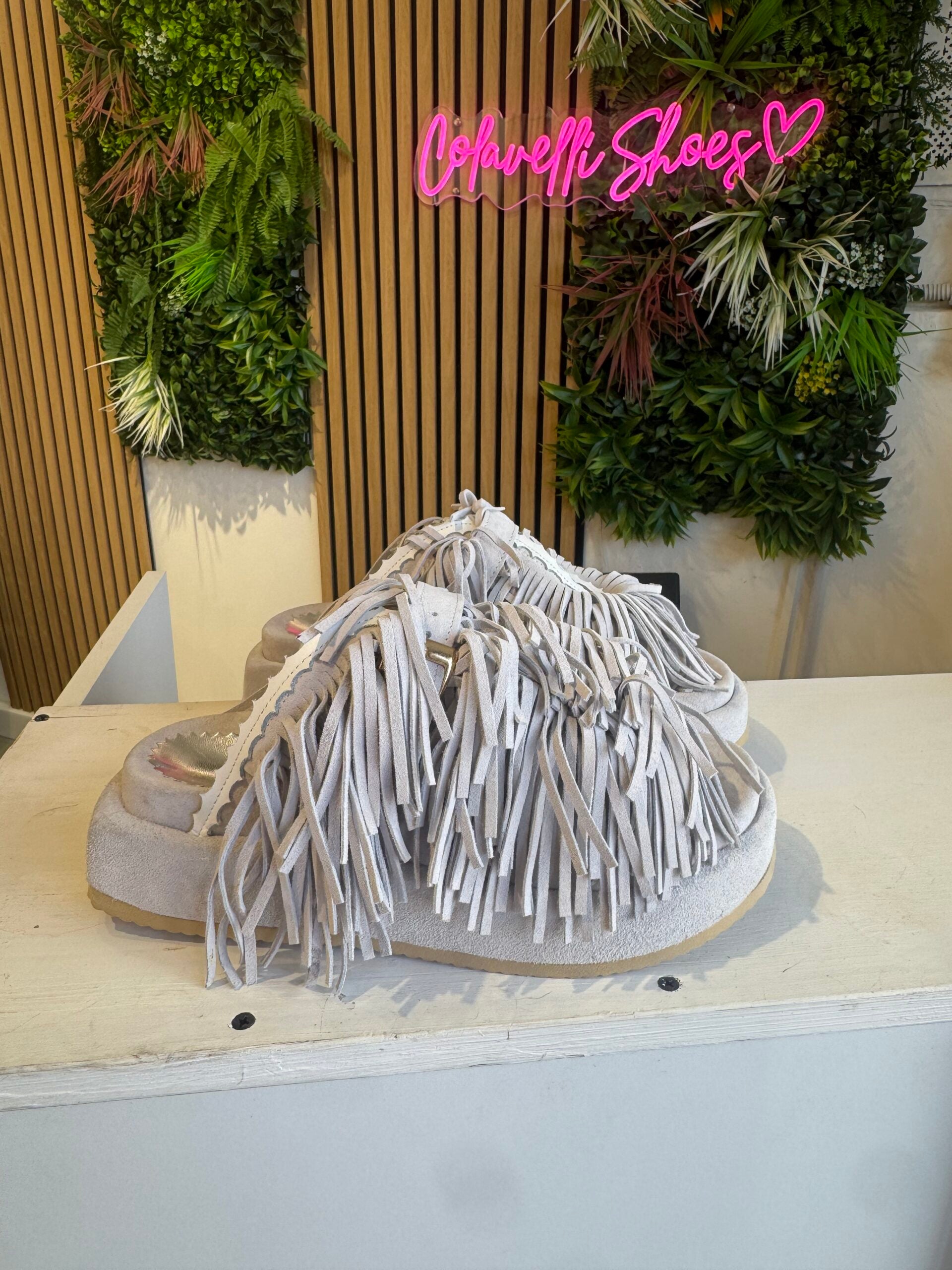 Sinfonía de rebecos de hielo