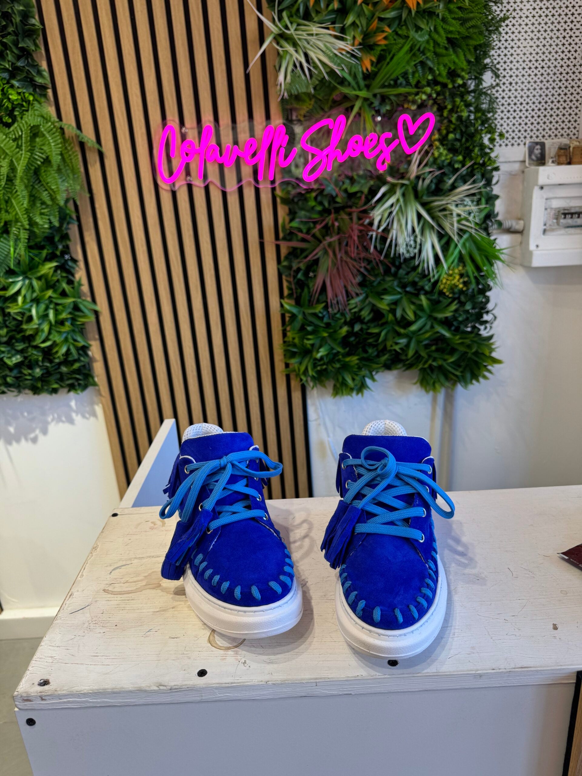 Mia cam blu royal
